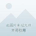 无上邪皇全集免费观看 无上邪皇全集免费观看