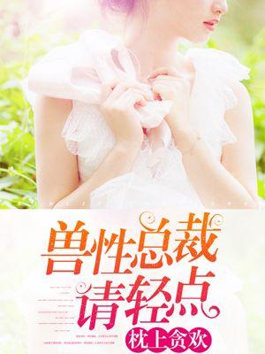 枕上贪欢:兽性总裁请轻点 枕上贪欢:兽性总裁请轻点