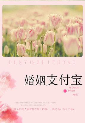 妻子的秘密:婚姻支付宝 妻子的秘密:婚姻支付宝